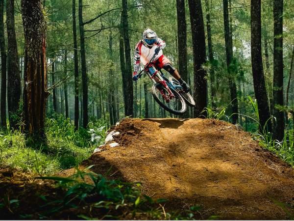 Activities offerd by Aayushtrip 